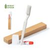 Set Dental Kit Set Dental Kit