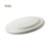 Frisbee Ditul